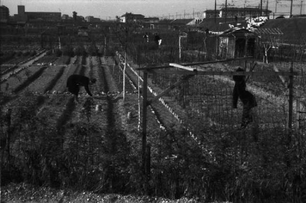 Periferia di Milano: orti di guerra a ridosso della città