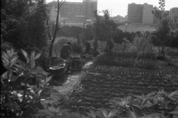 Periferia di Milano: orti di guerra a ridosso della città