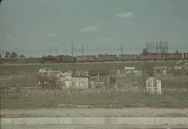 Periferia di Milano: orti di guerra a ridosso della massicciata della ferrovia