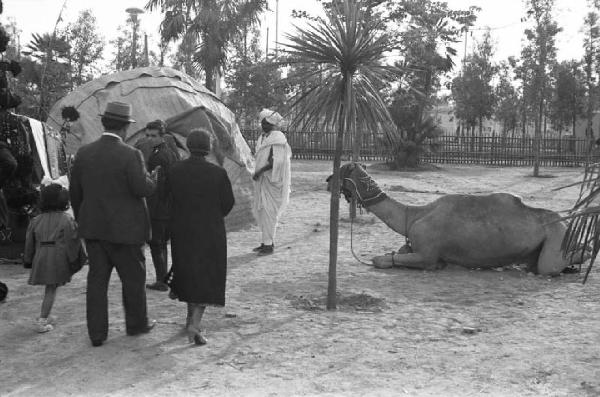 Inaugurazione della Triennale delle Terre d'Oltremare - visitatori - ricostruzione di un villaggio africano - cammello