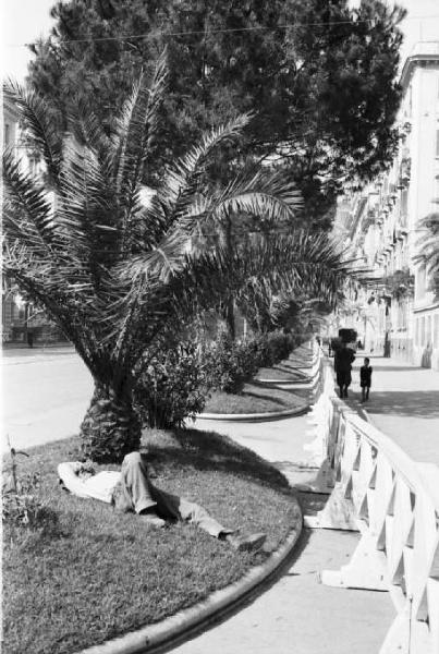 Porto di Napoli. Uomo si riposa sotto un albero