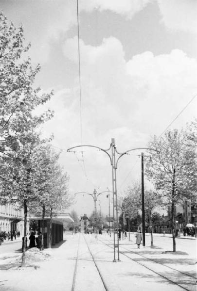 Viaggio in Jugoslavia. Lubiana - viale alberato - rotaie del tram