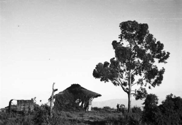 Viaggio in Africa. Paesaggio africano: capanna con tetto di paglia accanto a un grande albero