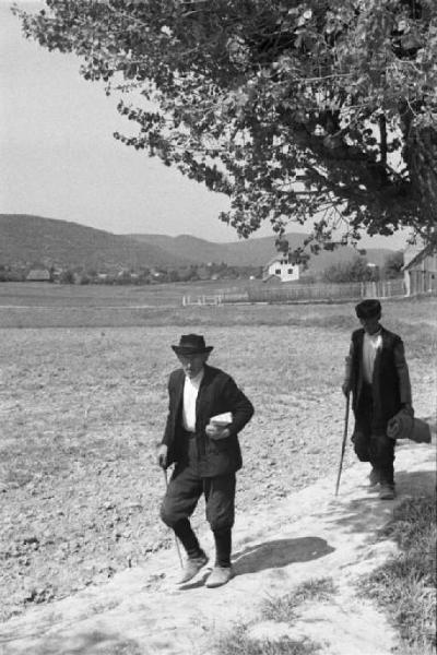 Viaggio in Jugoslavia. Dintorni di Vhrovine: uomini croati percorrono un viottolo di campagna