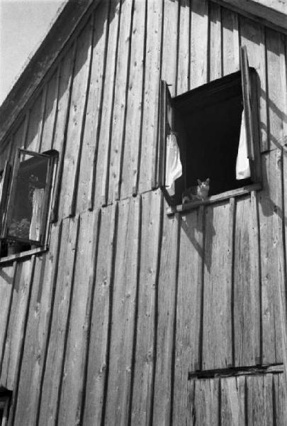 Viaggio in Jugoslavia. Vhrovine: casa rivestita di assi di legno - imposte aperte