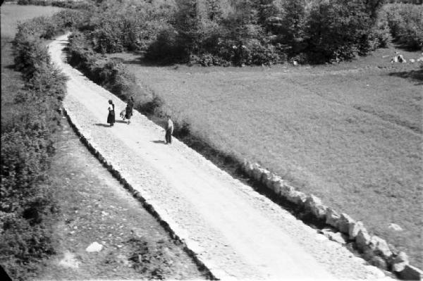 Viaggio in Jugoslavia. Verso Sebenico: veduta aerea della campagna con gruppo di contadini che percorre un sentiero