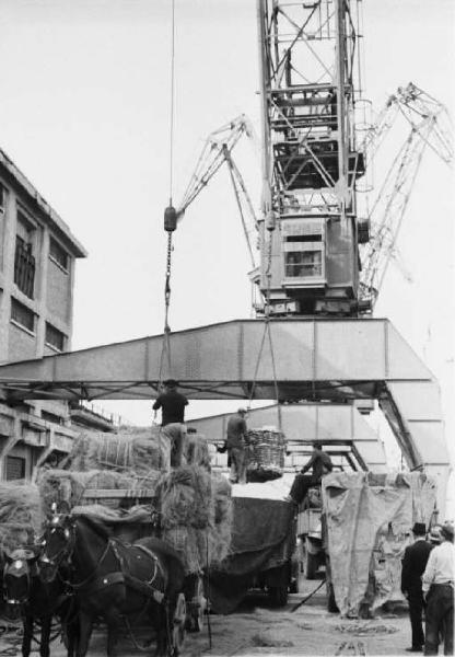 Porto di Napoli. Gru - carro trainato da cavalli