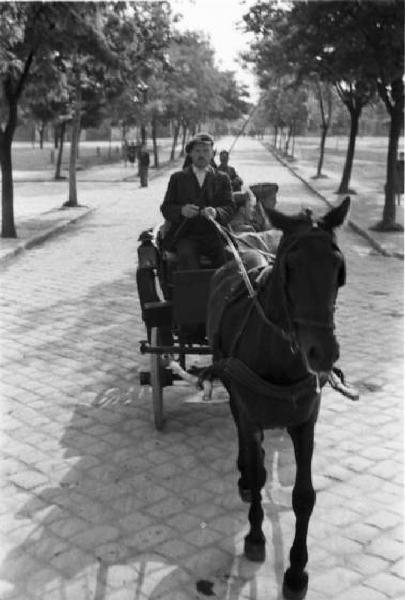 Campagna di Russia. Viaggio attraverso l'Ungheria - carrozza trainata da una cavallo - vetturino