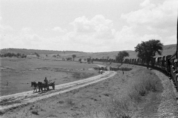 Campagna di Russia. Viaggio in treno attraverso la Romania - panorama - carro trainato da cavalli