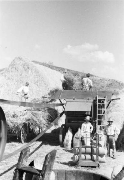 Campagna di Russia. Viaggio in treno attraverso la Transilvania - raccolta del fieno - contadini - macchina agricola - covoni