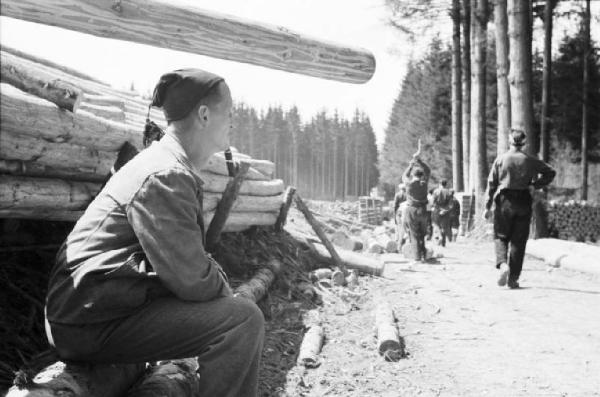 Internamento in Svizzera. Reiden - Militare italiano durante una pausa del disboscamento della foresta