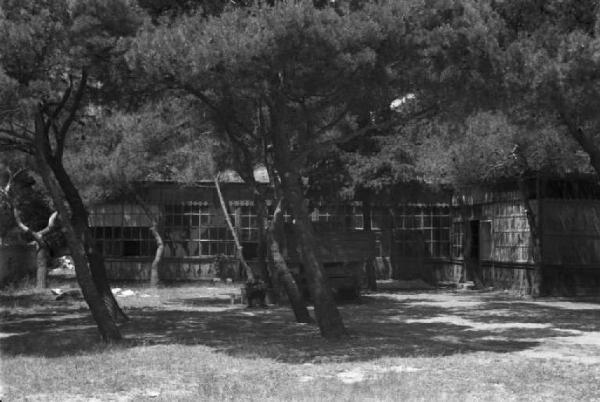 Viaggio in Jugoslavia. Dubrovnik (Ragusa): strutture in paglia fra gli alberi