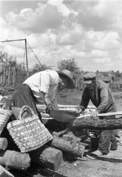 Campagna di Russia. Ucraina - taglio della legna - contadini segano tronchi