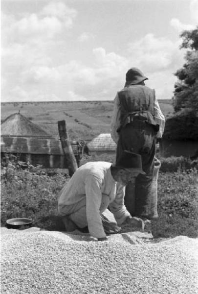 Campagna di Russia. Bessarabia - Riscani - selezione delle granaglie