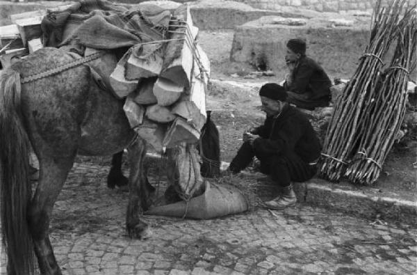 Viaggio in Jugoslavia. Sarajevo: coppia di commercianti seduta a margine di una mulattiera durante una pausa di viaggio - al loro fianco il mulo adibito al trasporto
