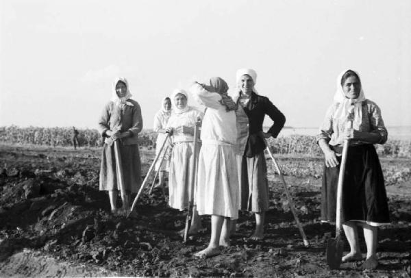 Campagna di Russia. Verso Vil'shanka (Olshanka) - contadine con vanghe