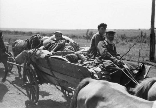 Campagna di Russia. Ucraina - Vil'shanka (Olshanka) - ritrato di gruppo - uomini su un carro trainato da cavalli