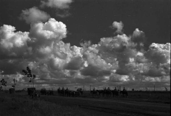 Campagna di Russia. Ucraina - paesaggio