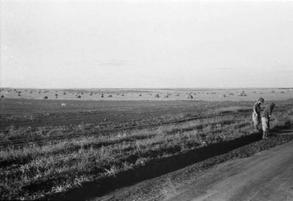 Campagna di Russia. Ucraina - Moghila Surijka [?] - campi coltivati - militari