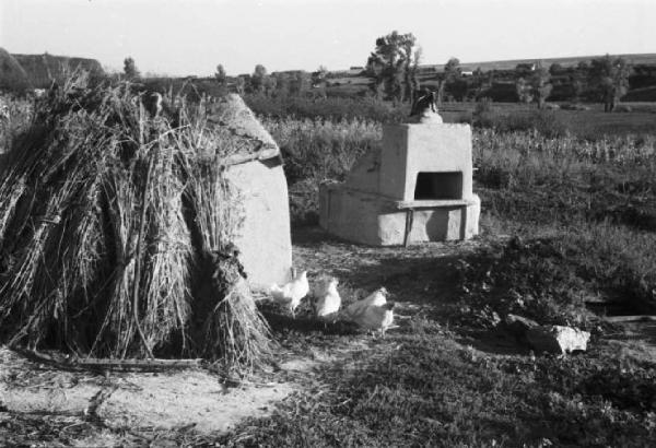 Campagna di Russia. Ucraina - Moghila Surijka [?] - insediamento rurale - covone di fieno - focolare all'aperto - galline