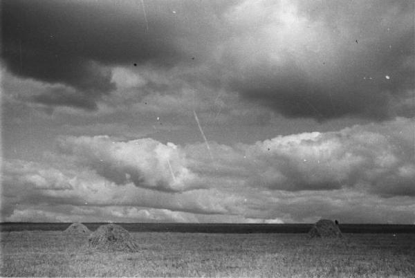 Campagna di Russia. Ucraina - dintorni di Mogila Surijska [?] - panorama - campi coltivati - covoni