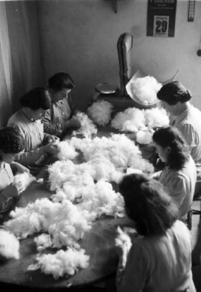 Produzione di maglieria d'angora - lavorazione della lana - ripulitura dalle impurità - operaie