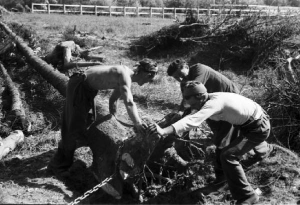 Internamento in Svizzera. Woeschnau. Lavori di disboscamento