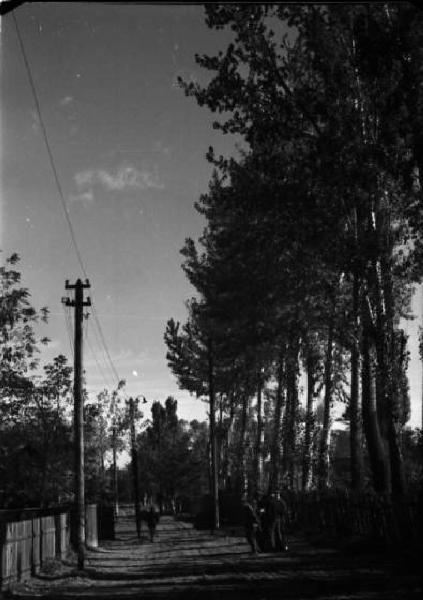 Campagna di Russia. Ucraina - Dnipropetrovs'k - strada alberata