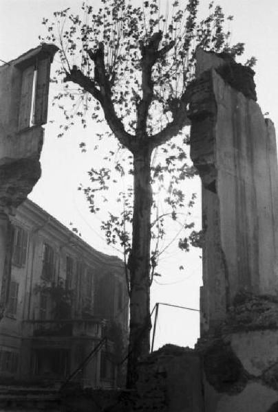 Italia Dopoguerra. Milano - piazza Vetra - Scorcio tra i resti di alcuni edifici sventrati dalle bombe - in mezzo aquesti un albero