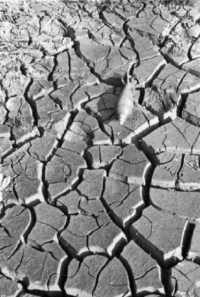 Campagna di Russia. Ucraina - ordigno bellico inesploso - terreno arso dalla siccità