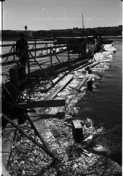 Campagna di Russia. Ucraina - nei pressi di Dnipropetrovs'k - ponte provvisorio sul fiume Dnepr