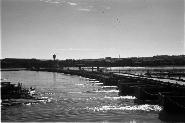 Campagna di Russia. Ucraina - nei pressi di Dnipropetrovs'k - ponte provvisorio sul fiume Dnepr