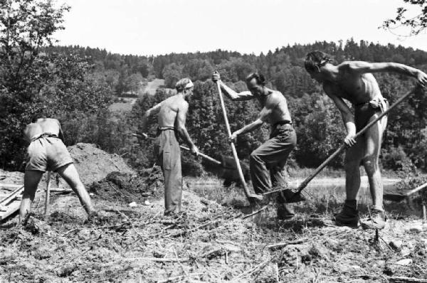 Internamento in Svizzera. Woeschnau. Lavori di realizzazione di terrazzamenti, operai che dissodano la terra