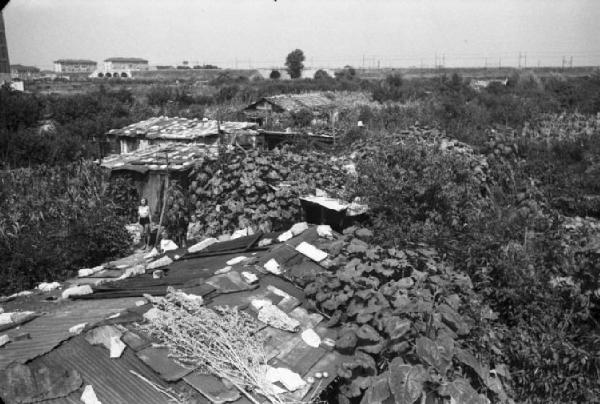 Italia Dopoguerra. Milano - Periferia - Orti di città e baracche