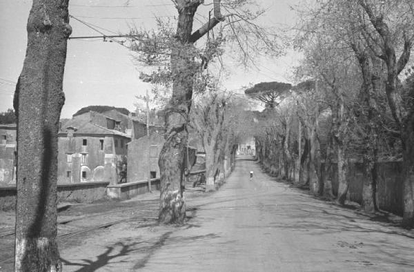 Castel Gandolfo. Veduta di un viale alberato