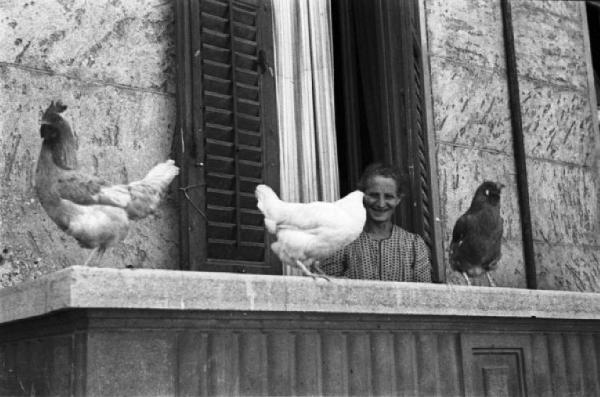 Italia Dopoguerra. Periferia di Milano, le case popolari del quartiere "Baia del Re". Galline sul parapetto di un balcone