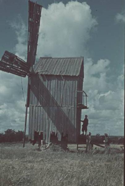 Campagna di Russia. Ucraina - nei dintorni di Boscedarowka [?] - mulino a vento