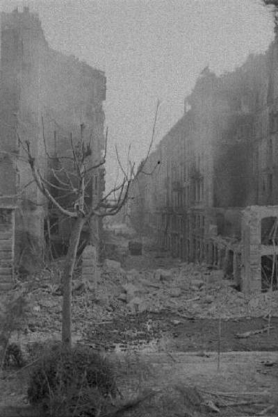 Italia Seconda Guerra Mondiale. Milano. La città dopo il bombardamento del 12 agosto 1943, edifici danneggiati, macerie e alberi abbattuti