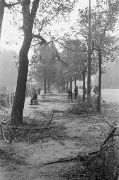 Italia Seconda Guerra Mondiale. Milano. La città dopo il bombardamento del 12 agosto 1943, alberi abbattuti nei giardini di via Palestro