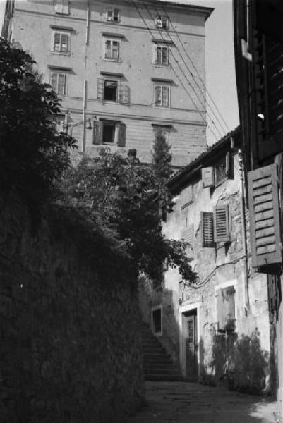 Italia Dopoguerra. Trieste - Centro storico, un edificio tra le fronde degli alberi