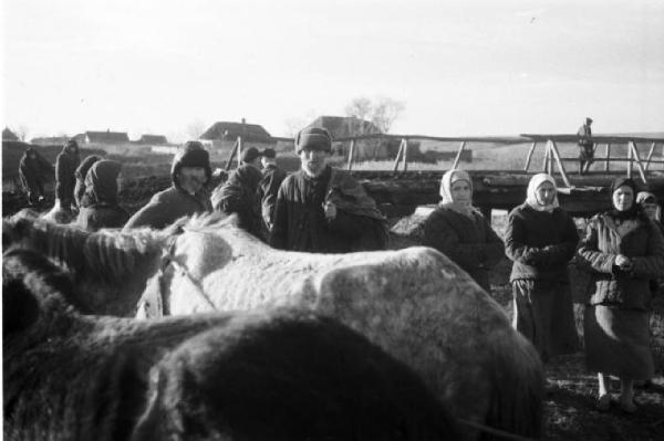 Campagna di Russia. Ucraina - Slavianka [?] - profughi con bestiame