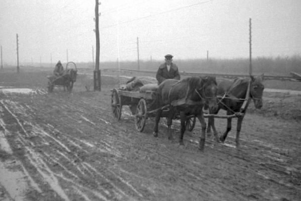 Campagna di Russia. Ucraina - Slavianka [?] - carro trainato da cavalli