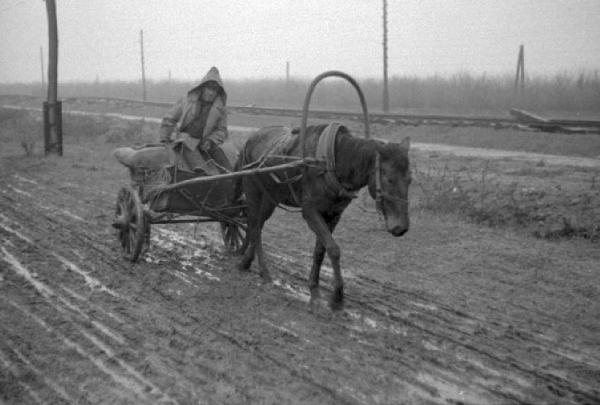 Campagna di Russia. Ucraina - Slavianka [?] - carro trainato da cavalli