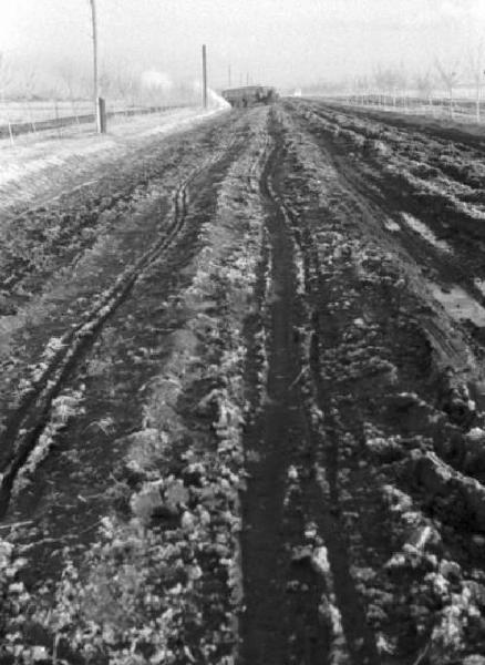 Campagna di Russia. Ucraina - strada ricoperta di fango