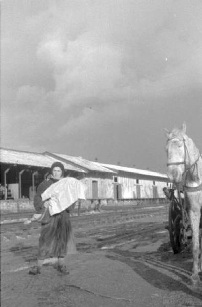 Campagna di Russia. Ucraina - ritratto femminile - donna - carro trainato da cavallo