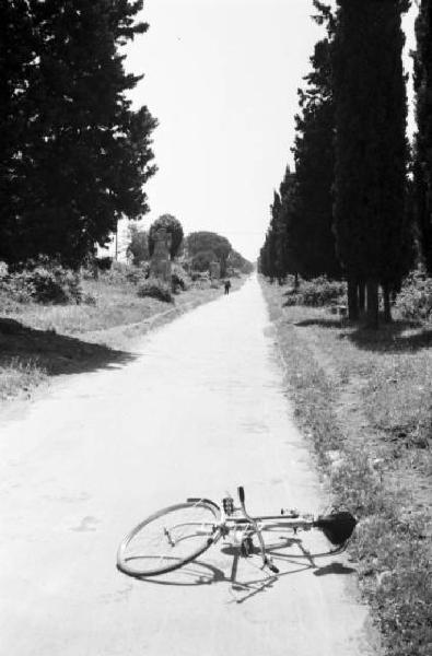 Via Appia Antica. Prospettiva centrale della via, con bicicletta appoggiata sul selciato in primo piano