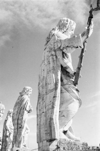 Roma. Piazza S. Pietro. Statua sulla balaustra che corona sulla sommità il colonnato del Bernini