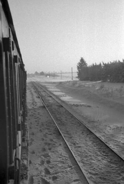 Campagna di Russia. Ucraina - treno ospedale attraversa la pianura innevata