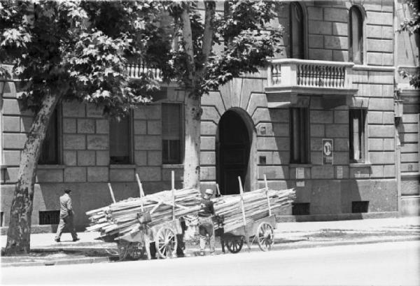 Italia Dopoguerra. Milano. Carri carichi di assi di legno parcheggiati lungo il marciapiede