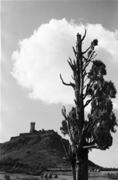 Italia Dopoguerra. Radicofani - Il castello arroccato su uno sperone roccioso e un albero parzialmente schiantato